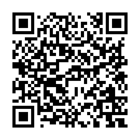 QR code for 53393