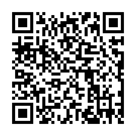 QR code for 533IV