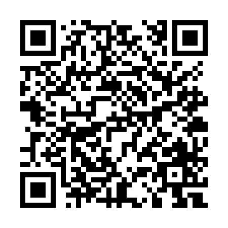 QR code for 533ZH