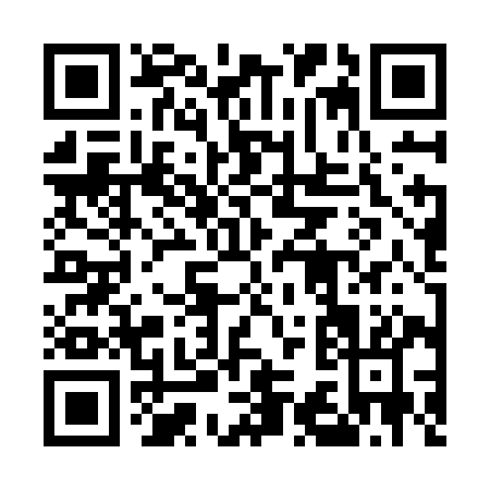 QR code for 533ZI
