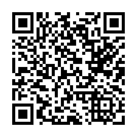 QR code for 538993