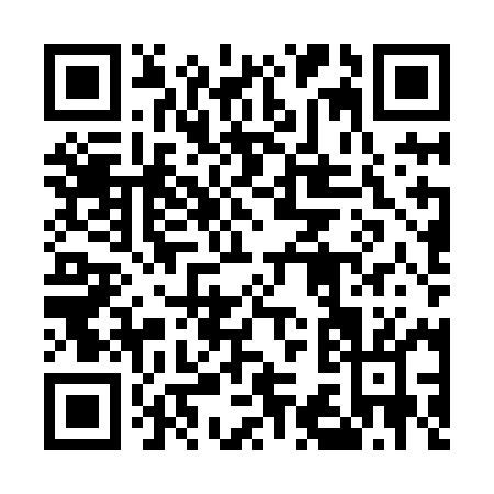 QR code for plate 5-38XM