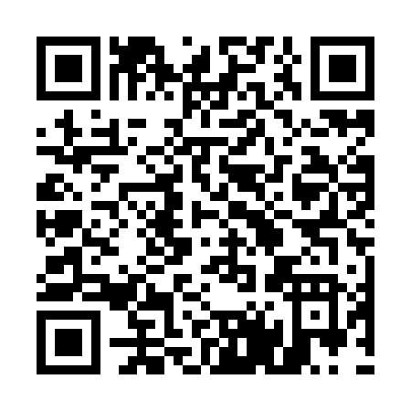 QR code for 541YF