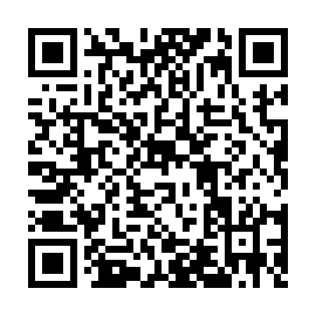 QR code for 54811