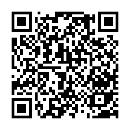 QR code for 55207