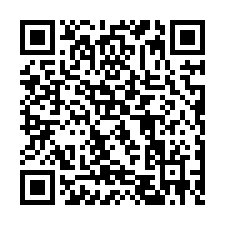 QR code for 55482