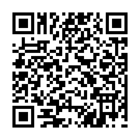 QR code for 58393