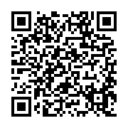 QR code for 595XI