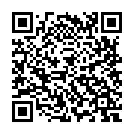 QR code for 6-0290N
