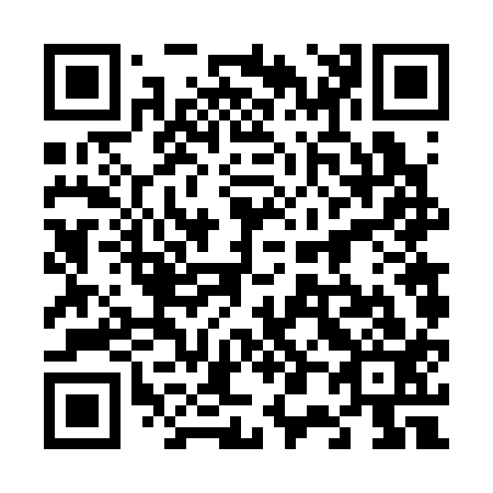 QR code for 6-06313