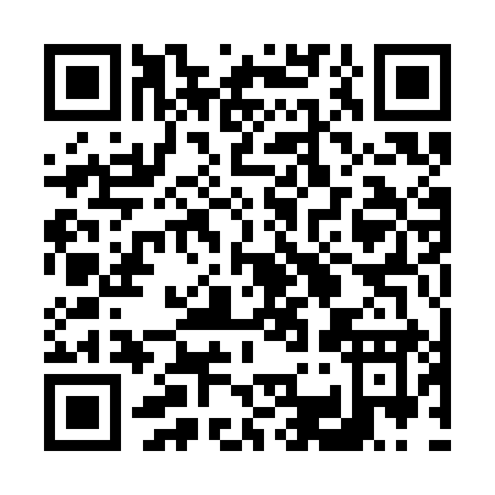 QR code for 6-313I