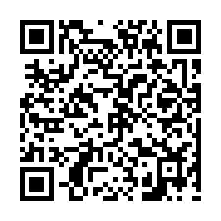 QR code for 6-3313Z