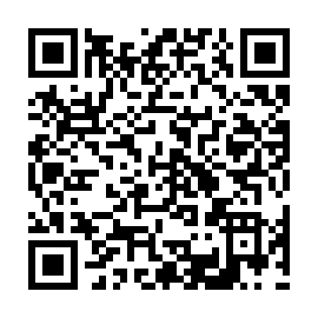 QR code for 6-393N