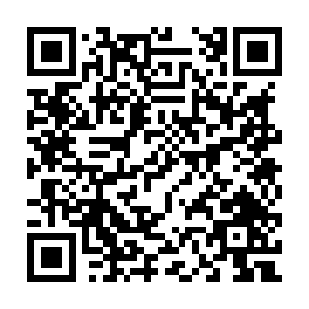 QR code for 6-6384