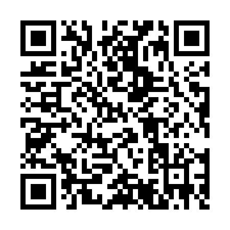 QR code for 6-995P