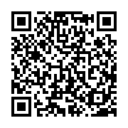QR code for 600311
