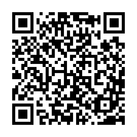 QR code for 600743