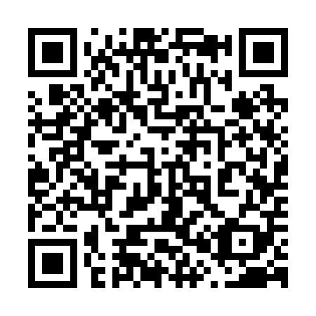 QR code for 603209