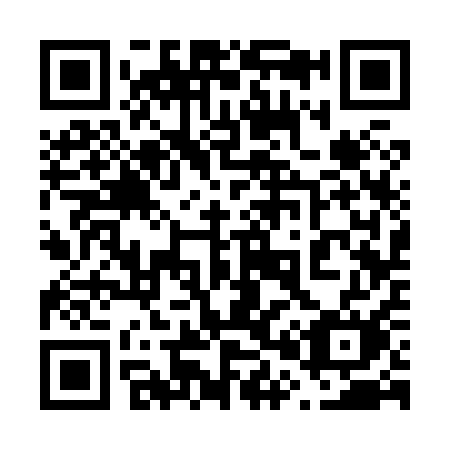 QR code for plate 6-0381M
