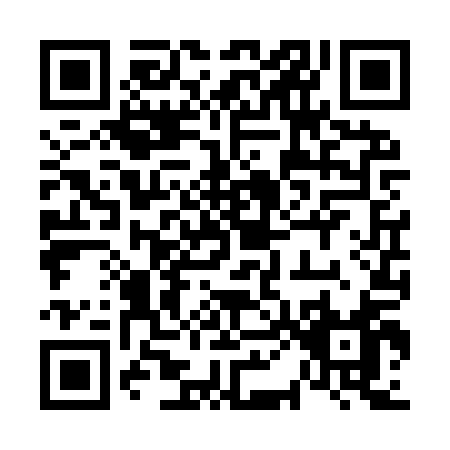 QR code for plate 6-06YQ