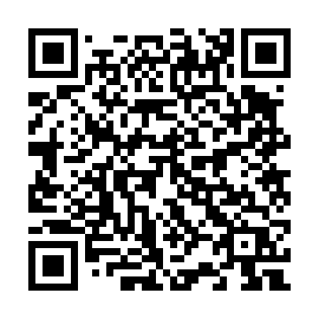 QR code for 62246P