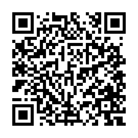 QR code for 63238