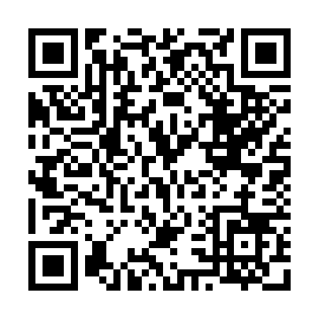 QR code for 63336