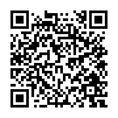 QR code for plate 6-335V