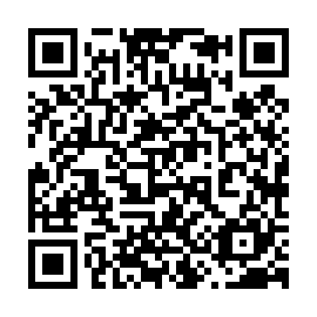 QR code for 638425
