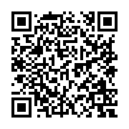 QR code for 63993