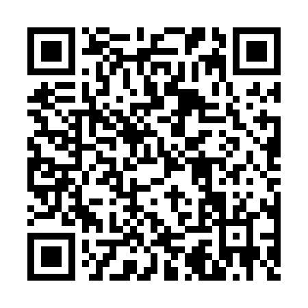 QR code for 63PPL