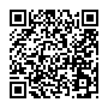 QR code for 63RLI