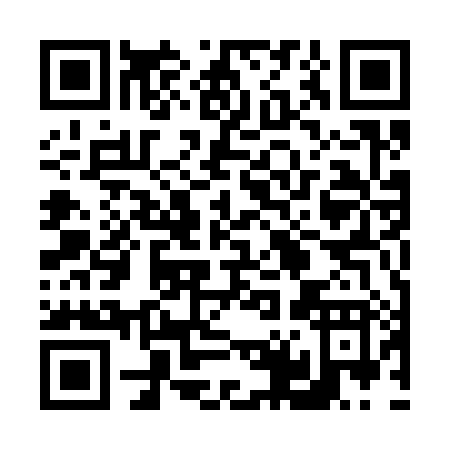 QR code for 64538