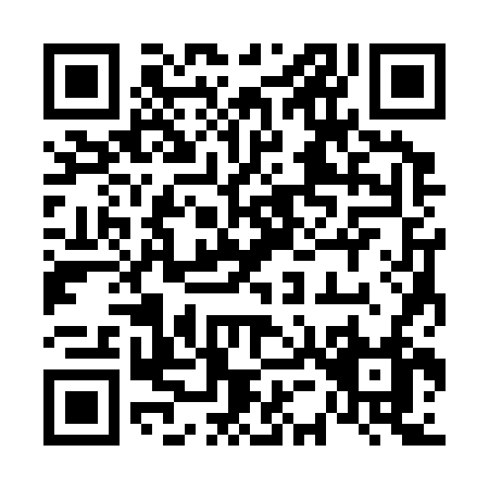 QR code for 65336