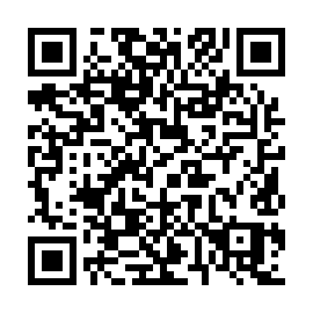 QR code for plate 6-6119Q