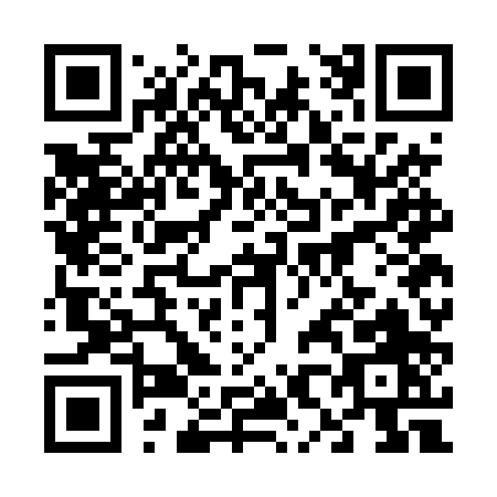 QR code for 687DP