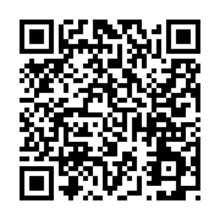 QR code for plate 6-95YX