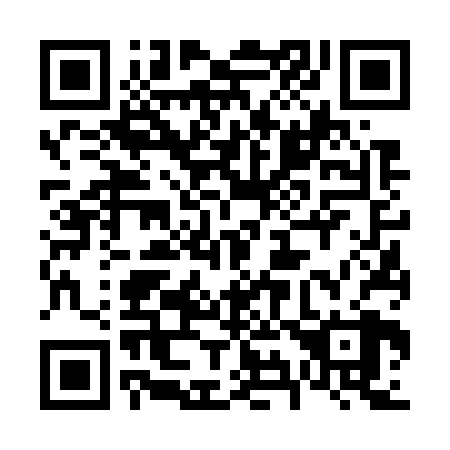 QR code for plate 6-96728