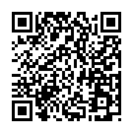 QR code for plate 7-029T