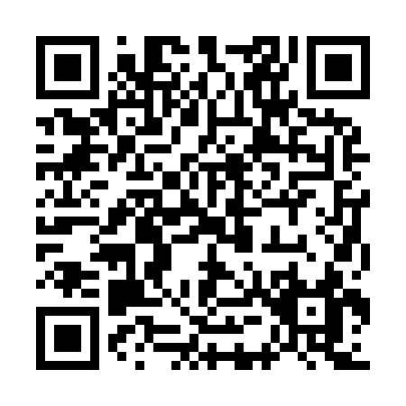 QR code for 75293