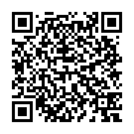 QR code for 8-91738