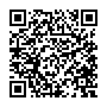 QR code for 8029L