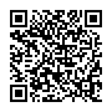 QR code for 81381N