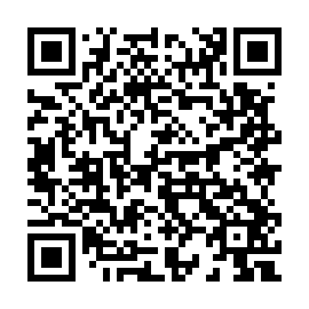 QR code for plate 8-29542