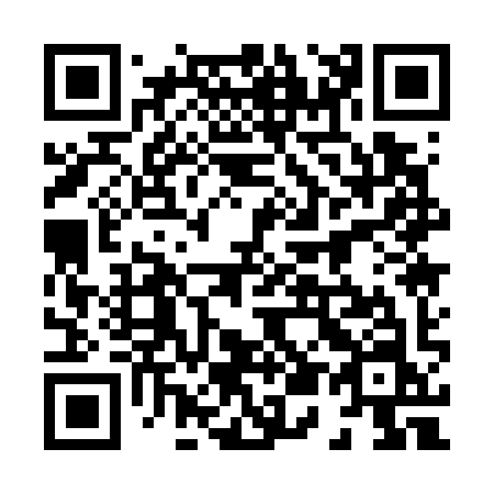 QR code for 85179N