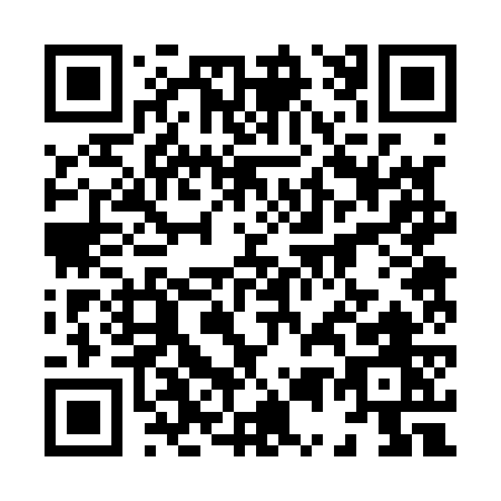 QR code for 85217
