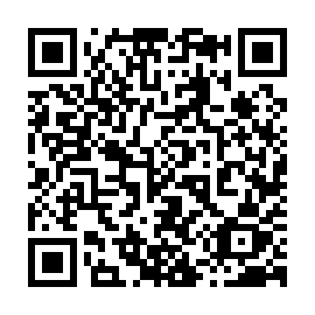 QR code for 85611Z