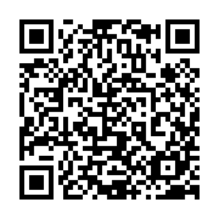 QR code for 869085