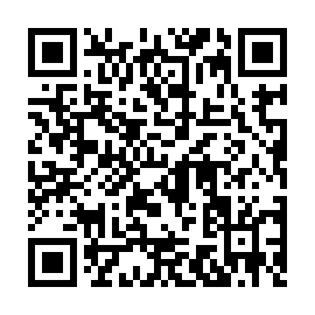 QR code for 87595