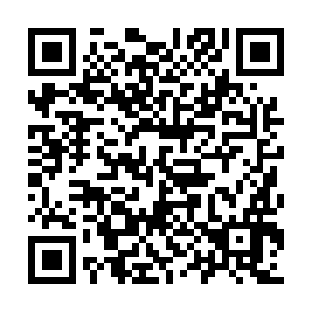 QR code for plate 9-00596